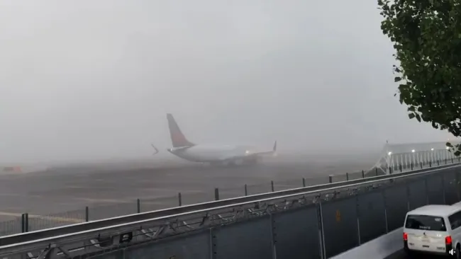 Niebla paraliza vuelos en el AICM; hay retrasos y afectaciones en la zona. Noticias en tiempo real