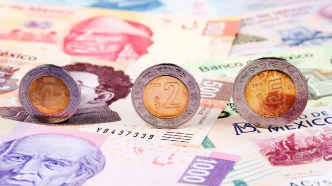 Por el momento, no han dado a conocer la cara nueva de la morralla. 