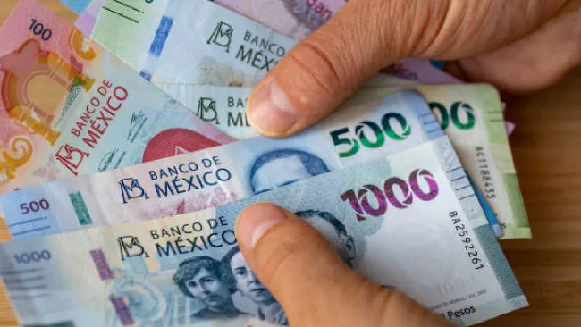 Lista de trabajadores que recibirán 40 días de aguinaldo en 2025. Noticias en tiempo real