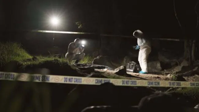 SESNSP reporta caída del 37% en homicidios dolosos: octubre de 2025, el mes más bajo en 13 meses