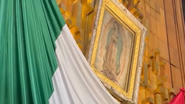 Deportistas guadalupanos: una tradición viva en México de la mano de la Virgen de Guadalupe . Noticias en tiempo real