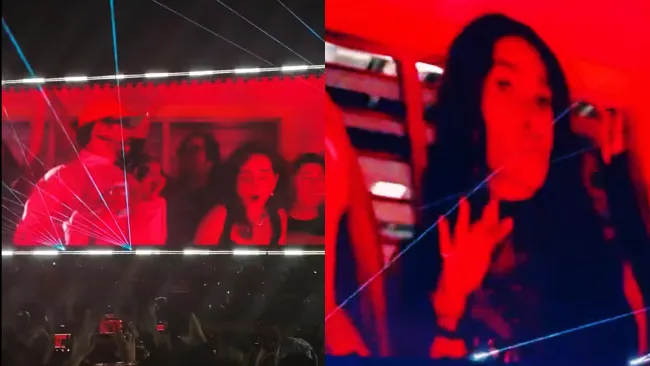 La farándula ha demostrado que los sonidos urbanos los enloquecen.