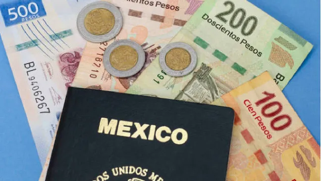El pasaporte mexicano es el más caro del mundo y cuesta casi la mitad del salario mínimo