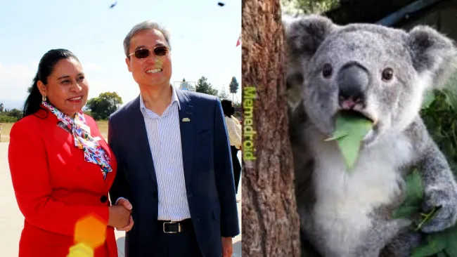 El error tomó relevancia unos días después de la entrega de computadoras. 