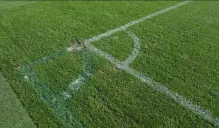 Así luciría la cancha del Malmo, luego de las modificaciones