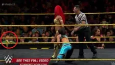 Momento en que el aficionado saca el libro