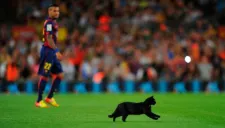 Gato corriendo por Camp Nou en pleno partido de Barcelona