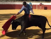 Esta es la imagen compartida por Rivera