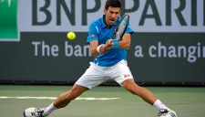 Djokovic, en el partido contra Fratángelo