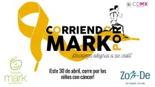 Cartel oficial de la carrera