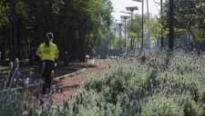 Pista del bosque de Tlalpan