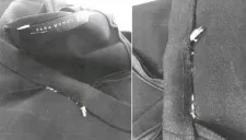 Así se observó al ratón muerto en las costuras del vestido