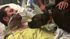 Momento en que Mollie se despide de Ryan Jessen