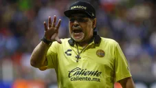 Maradona gesticula en un partido de Dorados