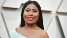 Aparicio en la alfombra roja de los premios Oscar