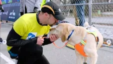 Thomas Panek y su perro guía al concluir el Medio Maratón de NY