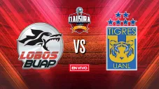 EN VIVO Y EN DIRECTO: Lobos BUAP vs Tigres