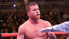 Canelo en la esquina en del cuadrilátero