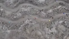 VIDEO: Carreras de canicas, el nuevo deporte a seguir ante la suspensión por coronavirus