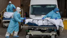 Personal médico en Nueva York, Estados Unidos