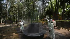 México está en estado de emergencia por el COVID-19