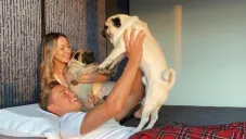 Marcos Llorente con sus perros