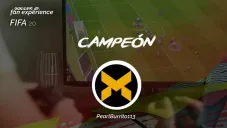 Soccer ID fan experience FIFA 20