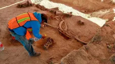 Restos de mamut hallados durante la construcción del nuevo aeropuerto