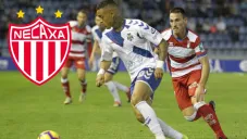 Necaxa: Así juega Jhoao Rodríguez, nuevo delantero de los Rayos para el Apertura 2020