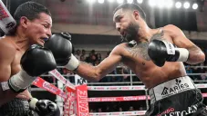 Pantera Nery durante un combate