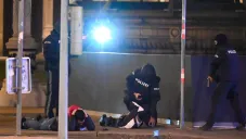 Policía de Austria detiene a un sospechoso