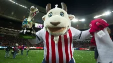 Chiva Loca en un partido