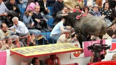 ´Pajarito' emprendiendo el 'vuelo' hacia los tendidos