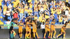 El Volcán podrá recibir el 40 por ciento de aforo