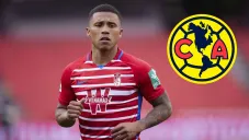 Darwin Machís en un partido con el Granada