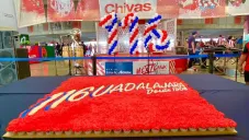Pastel para celebrar el aniversario 116 de las Chivas