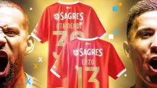 Playeras especiales de Benfica