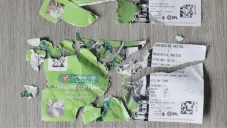 Así quedaron los boletos de Alan Carling tras el incidente con su perro