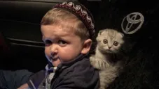 Hasbulla subió un video maltratando a su gato