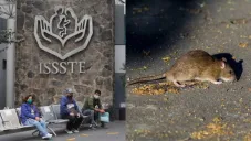 Imagen de carácter ilustrativo y no corresponde a la noticia