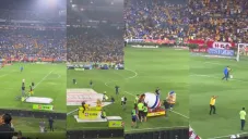 Aficionado de Tigres en el espectáculo de medio tiempo