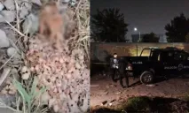 Pozole con restos humanos: Lo que se sabe del macabro hallazgo en Zapopan