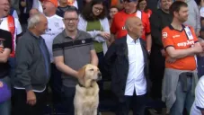 El aficionado y su mascota en las gradas del estadio