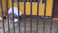 ¡No se olvida de su mascota! Piero Quispe regresó para despedirse de su perro