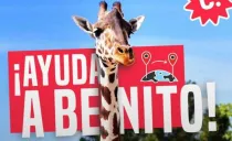 Se han juntado firmas para ayudar a Benito, pero no ha sido suficiente.