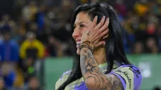 Hermoso en partido de Tigres