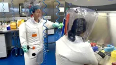 Científicos chinos crean mutación del Covid-19 que es 100% letal en 'ratones humanizados'