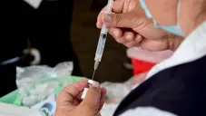 Expertos indican que la inmunización no genera efectos adversos serios o considerables.