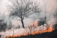 Nuevo León en riesgo de incendios forestales