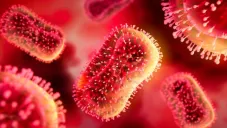 Reportan primer ser humano muerto a causa de la viruela de Alaska; se infectó tras el rasguño de un gato